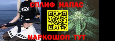 спиды Бердск