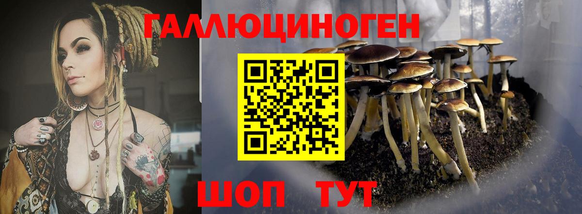 купить наркотики сайты  Псилоцибиновые грибы MAGIC MUSHROOMS  Вход с VPN  Ачинск 
